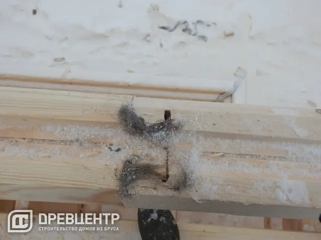 Строительство дома из профилированного бруса по проекту ДБ 32, фото 11 из 23